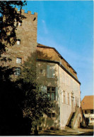 Château De Woerth Le Donjon - Woerth