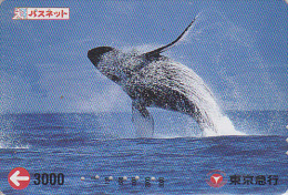 Carte Prépayée Japon - ANIMAL - BALEINE - WHALE  Japan Prepaid Passnet Tokyu Card - WAL Karte - 271 - Dolphins