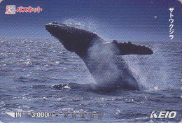 Carte Prépayée Japon - BALEINE  - WHALE Japan Prepaid Card - WAL Karte - 274 - Dauphins