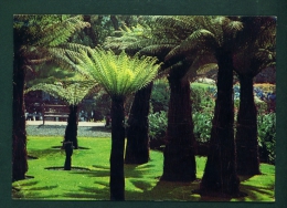 SCOTLAND  -  Logan Botanic Garden  Used Postcard As Scans - Dumfriesshire