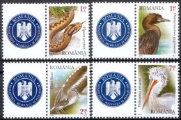 ROMANIA, 2010, PROTECTED FAUNA OF THE DANUBE RIVER, Set Of 4 + Label, MNH (**), LPMP/Sc. 1868/5183-86 - Unused Stamps