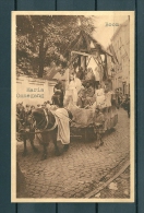 BOOM: Maria Ommegang, Niet Gelopen Postkaart  (GA18937) - Boom