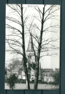 HALLAAR: Fotokaart, Niet Gelopen Postkaart (GA19239) - Heist-op-den-Berg