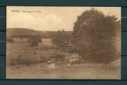 GEDINNE: Pont Rustique De Cherzy, Gelopen Postkaart (GA19893) - Gedinne