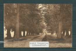 TONGERLOO: Lindendreef, Gelopen Postkaart 1937 (Uitg Nels) (GA19927) - Westerlo