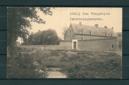 TONGERLOO: Omheiningsmuren, Niet Gelopen Postkaart (Uitg Thill) (GA19938) - Westerlo