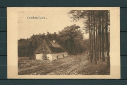 WESTERLOO: Omstreken, Gelopen Postkaart 1926 (Uitg Geerts-Berghmans) (GA20152) - Westerlo