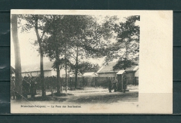 BRASSCHAET: La Pose Des Sentinelles, Gelopen Postkaart 1903 (GA20572) - Brasschaat