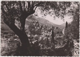 HAUTE CORSE,CORSICA,CORTI,CORTE ,en 1954,vue Ciblée,village,église,nat Ure,nature,photo Yvon - Corte