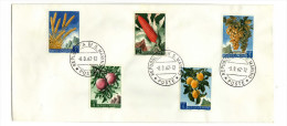 San Marino / Plants / Fruits / Grape / Peach / Apricot / Corn - Brieven En Documenten