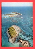 Antilles Récif Corallien - Timbre Préoblitéré - Altri & Non Classificati