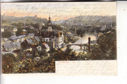 0-7305 WALDHEIM, Panorama, 1905 - Waldheim