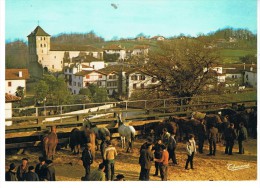 ESPELETTE -La Foire Aux Pottoks à Espelette - Thouand 1114 - Non Circulée - Tbe - Espelette