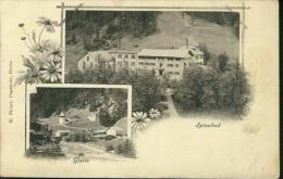 Litho Spinabad Glaris Um 1900 W. Picker Davos - Sonstige & Ohne Zuordnung