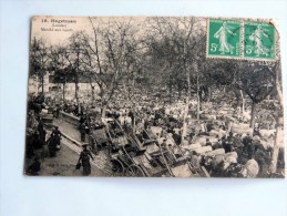 Carte Postale Ancienne : HAGETMAU : Marché Aux Boeufs , En1915 - Hagetmau