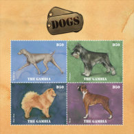 Gambia-2014-Dogs - Autres & Non Classés