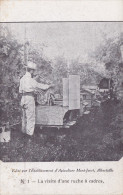 ALBERTVILLE ( Etablissement D'Apiculture Mont-Jovet , Albertville ) La Visite D'une Ruche à Cadres - Albertville