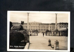 F2390 Wien, Schloss Schonbrunn - Castello, Castle, Chateau - Vienna - Old Small Card - Château De Schönbrunn