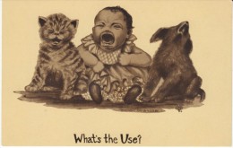 Black Americana, Colby Artist Signed 'Whats The Use?' Baby Cries With Kitten And Puppy, C1900s Vintage Postcard - Black Americana