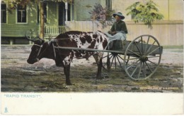 'Rapid Transit' Black Drives Cart Tucks The Sunny South #2181, C1900s Vintage Postcard - Negro Americana