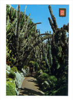 Monaco: Jardin Exotique, Cactus (14-3432) - Exotic Garden