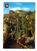 Monaco: Jardin Exotique, Cactus (14-3433) - Exotic Garden
