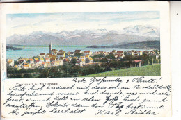 CH 8800 THALWIL, Panorama, 1901 - Thalwil