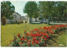 Gevray-Chambertin (21)  La Place Des Marronniers - Gevrey Chambertin