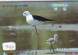 Prepayee Carte Japon OISEAU (3163)  Bird * Prepaid Card Japan * Karte VOGEL * FLEUR - Songbirds & Tree Dwellers