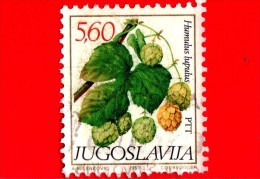 JUGOSLAVIA  - Usato - 1981 - Piante A Fiore - Luppolo - Humulus Lupulus - 5.60 - Oblitérés