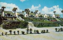 5395- DAYTONA BEACH, HOUSES, POSTCARD - Daytona