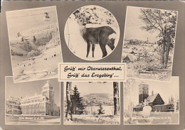 5458- ORE MOUNTAINS, OBERWIESENTHAL, VILLAGES, DEER, CABLE CAR, HOTEL, POSTCARD - Oberwiesenthal