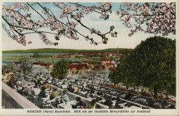 Werder. Baumblüte. Blick Von Der Gaststätte Bismarckhöhe Zur Inselstadt - Werder