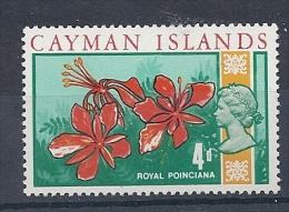 140016329  CAYMAN  ISL.    YVERT  Nº  219  **/MNH - Caimán (Islas)