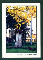 SURINAM  -  Oude Sluis  Used Postcard As Scans - Suriname