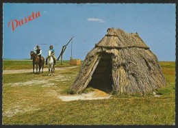 PUSZTA Burgenland Lange Lacke Salzflora Weinhüterunterstand Bei Apetlon Illmitz Podersdorf 1972 - Autres & Non Classés