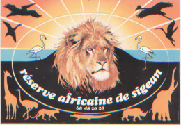 Autocollant Souvenir, Réserve Africaine De Sigean, Aude, Dos Divisé, Très Bon état, N´a Pas Circulé, Lion, Flamant Rose - Sigean