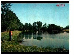 Courtomer Etang De L'osier - Courtomer