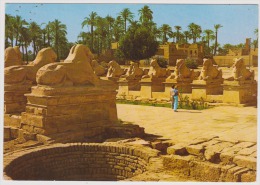 Karnak-the Famous Sphinx Avenue At Amon Themple-used,perfect Shape - Louxor