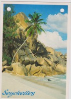 Seychelles-used,perfect Shape-perforated - Seychelles