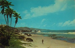 CARTE POSTALE MODERNE - La Barbade - Très Bon Etat - Barbades