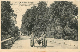 Chateau D'alzau (11) Attelage De Chien - Autres & Non Classés