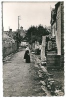 Cpsm: 56 ILE D´ARZ (ar. Vannes) La Grand'Rue (animée)  N° 1110 - Ile D'Arz