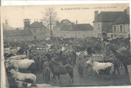 BOURGOGNE - 89 - YONNE - SAINT SAUVEUR - Le Champ De Foire - Animation Top - Saint Sauveur En Puisaye