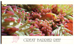 (3003) Australia - QLD - Great Barrier Reef - Great Barrier Reef