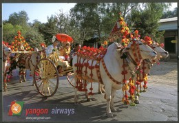 MYANMAR (BURMA) - Yangon Airways - Cartolina Non Viaggiata Come Da Scansione - Myanmar (Birma)