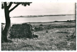 Cpsm: 56 ILE D´ARZ (ar. Vannes) L'Ile D'Hur Vue De L'Ile D'Arz  N° 1097 - Ile D'Arz