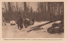 MISSIONS D'EXTREME NORD CANADIEN / LES FRERES COADJUTEURS TRAINENT LES ARBRES - SERIE IV - Other & Unclassified