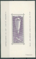 POLAND - 1938 STRATOSPHERE FLIGHT M/S - Unused Stamps