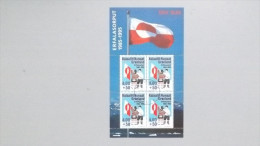 Grönland 273 Block 9, Oo/ET, 10 Jahre Grönländische Flagge - Blocchi